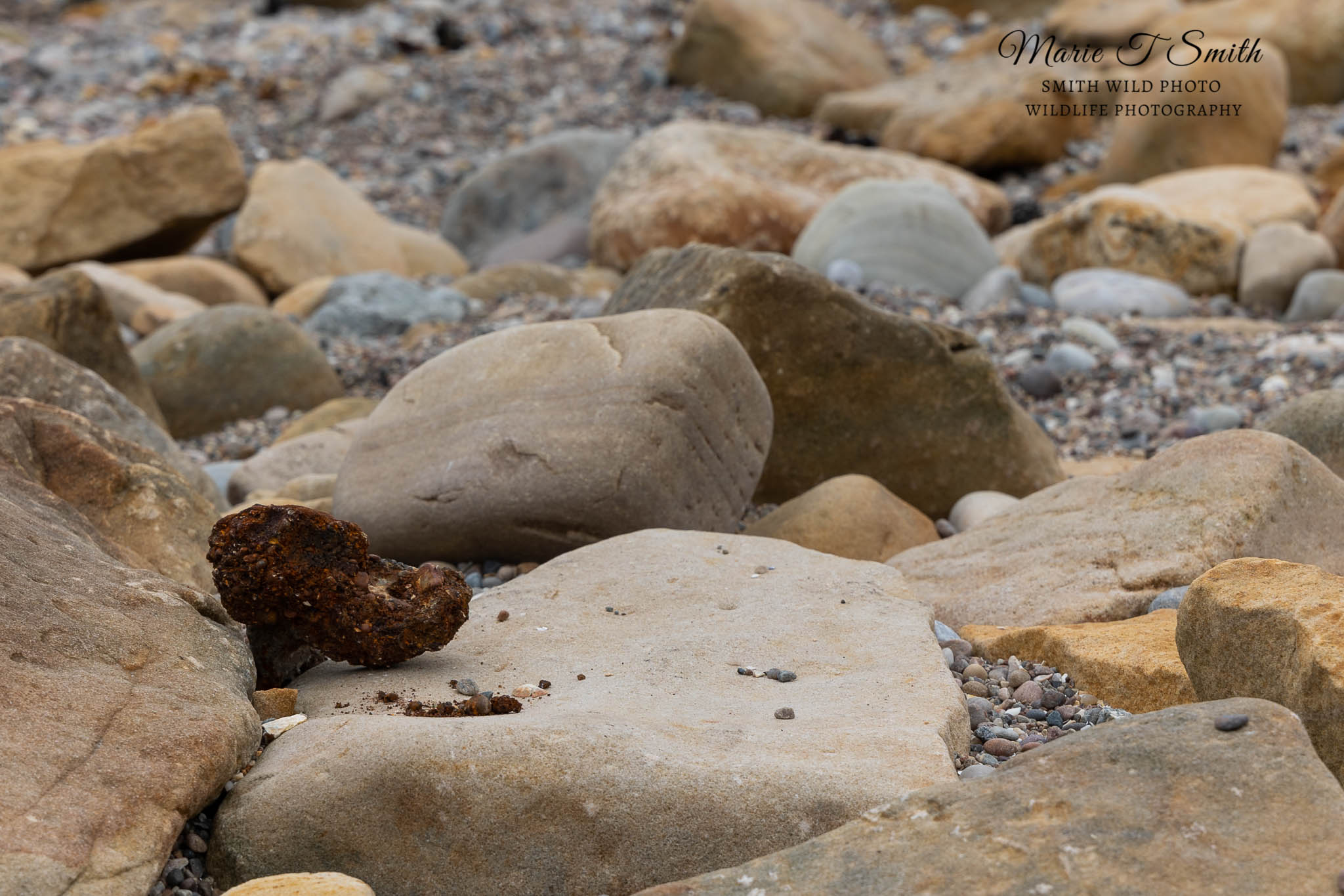 Pebbles and stones on a sandy beach